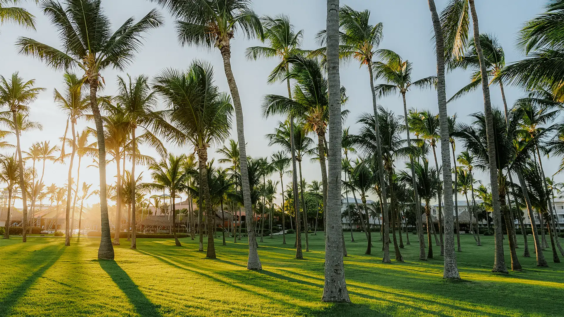 CHEZ PUNTA CANA - Imagem 12